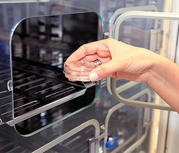 试管婴儿（一代&二代） &mdash;&mdash;定制化生育方案，高成功率助您好孕