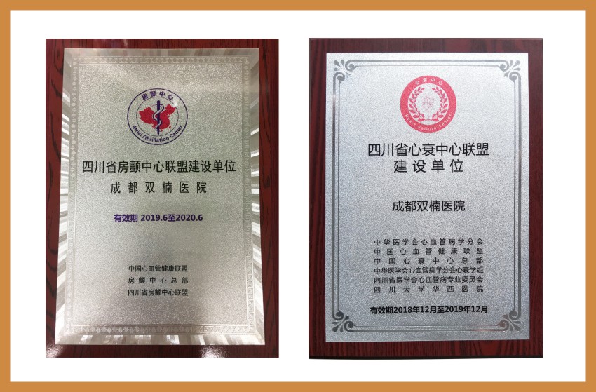 四川省心衰中心联盟建设单位