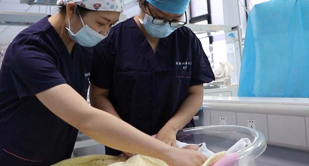 MDT多学科综合诊疗管理模式