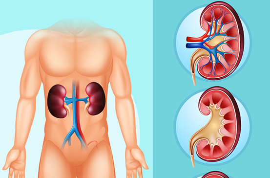 不止痛风！高『尿酸』先攻击身体3个地方医生