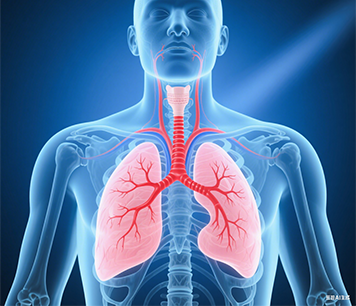 气管疾病/纵隔疾病