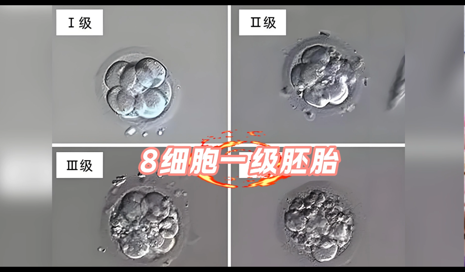 视频：如何通过胚胎等级辨别优质胚胎