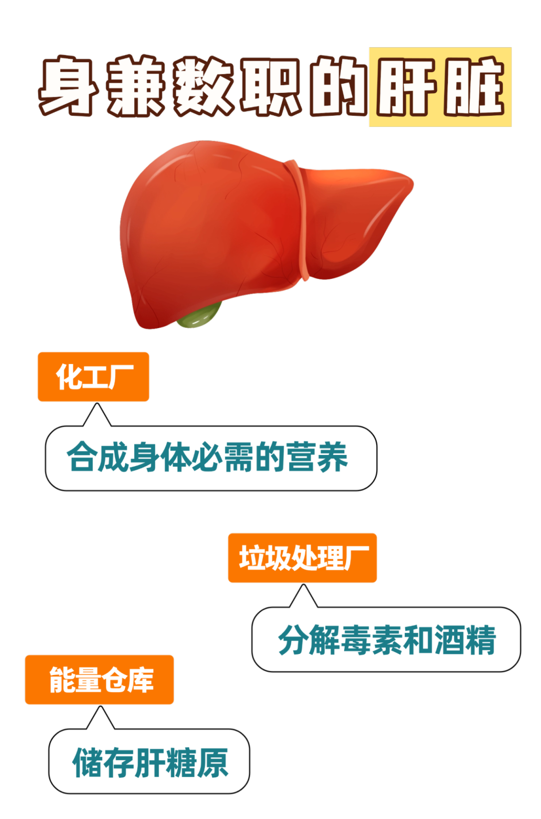 你的“解毒”器官，是怎么被“玩儿坏”的？医生