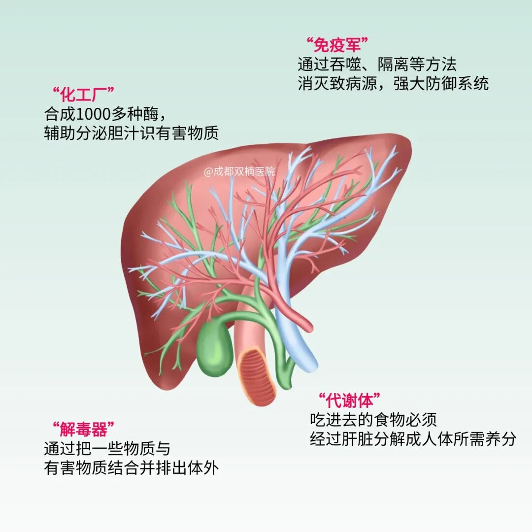 胎儿在肝脏安家！全球不足50例的凶险妊娠，孕早期必查这件事！医生