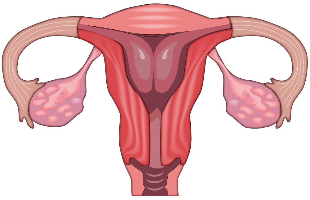 &ldquo;姨妈痛&rdquo;到怀疑人生？可能是身体在拉警报！医生