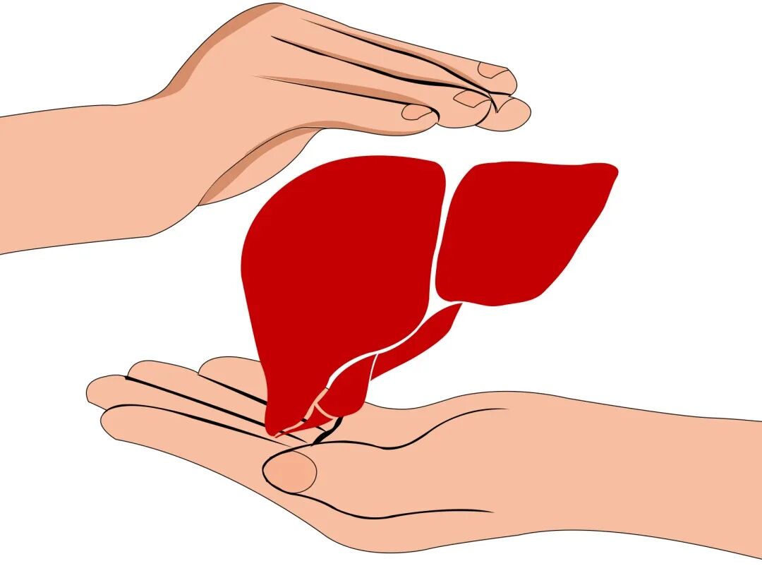 世界爱肝日 | 全国第26个爱肝日：遏制肝硬化，远离肝癌