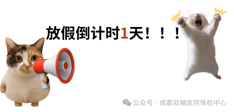确诊了：节前综合征。不是懒，是大脑在演我医生