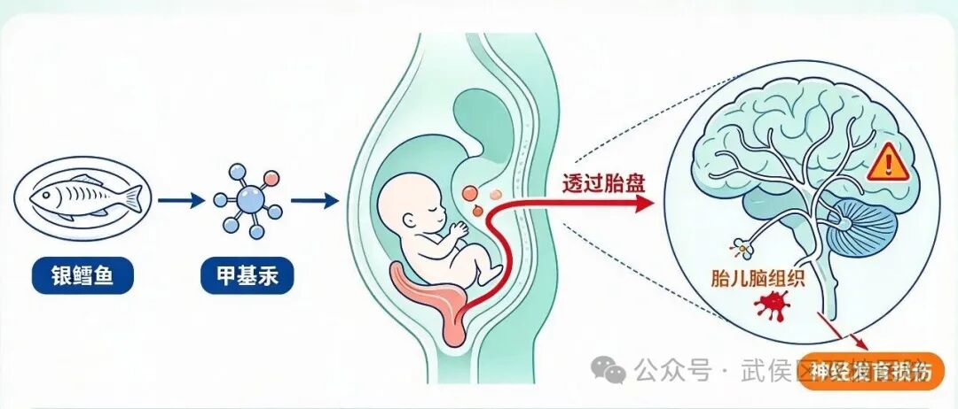 近期多发！吃这种鱼致&ldquo;汞中毒&rdquo;！很多孕妇都在吃