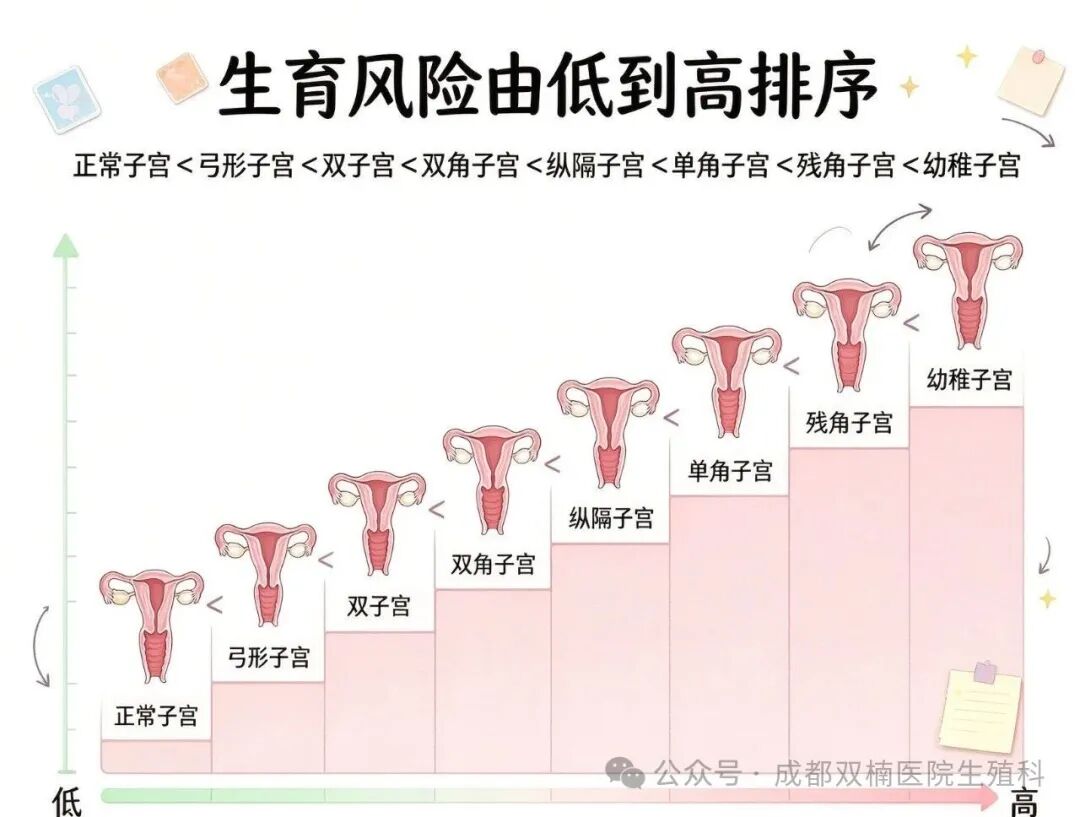 你的子宫，到底长啥样？有的随便怀，有的要手术，有的得盯紧！
